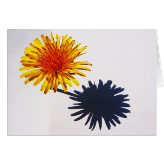 Dandelion und Shadow Gca (Vorderseite (Horizontal))