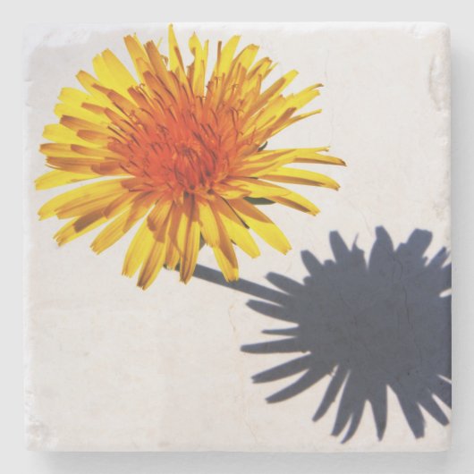 Dandelion und Shadow Küstenercna Steinuntersetzer (Vorderseite)