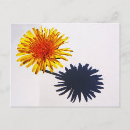 Dandelion und Shadow pccna Postkarte