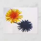 Dandelion und Shadow pccnm Postkarte (Vorderseite)