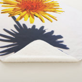 Dandelion und Shadow sbcna Sherpadecke (3/4)