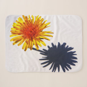 Dandelion und Shadow sbcna Sherpadecke