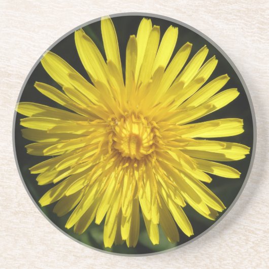 Dandelion Untersetzer (Vorne)