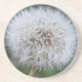 Dandelion Untersetzer (Vorne)