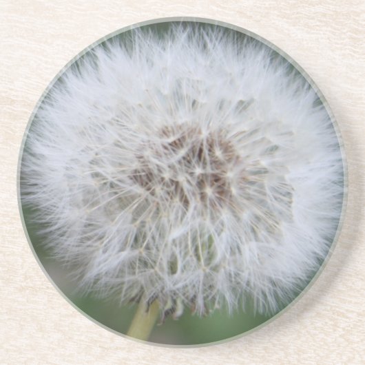 Dandelion Untersetzer (Vorne)