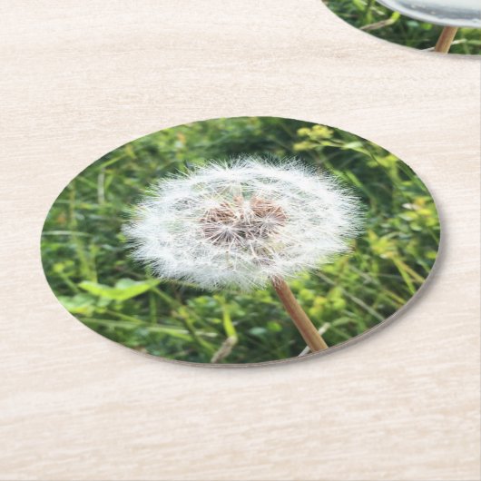 Dandelion Untersetzer Set (Angewinkelt)