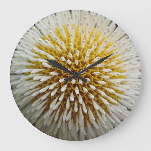 Dandelion Wall Clock Große Wanduhr (Vorderseite)