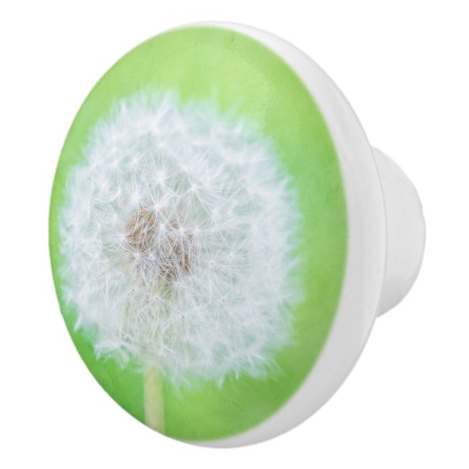 Dandelion - Weckte einfach die Schönheit auf Keramikknauf (Rechts)