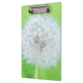 Dandelion - Weckte einfach die Schönheit auf Klemmbrett (Links)