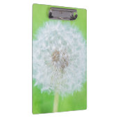 Dandelion - Weckte einfach die Schönheit auf Klemmbrett (Rechts)