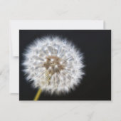 Dandelion Wedding RSVP Karte (Vorderseite)