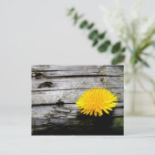 Dandelion Weed Postkarte (Stehend Vorderseite)