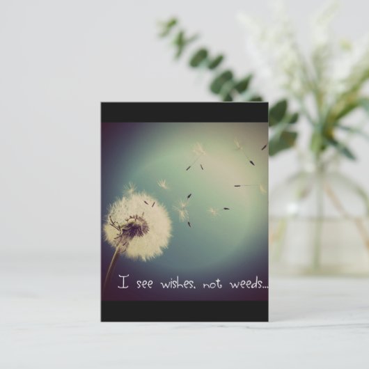 Dandelion Wises Postkarte (Stehend Vorderseite)