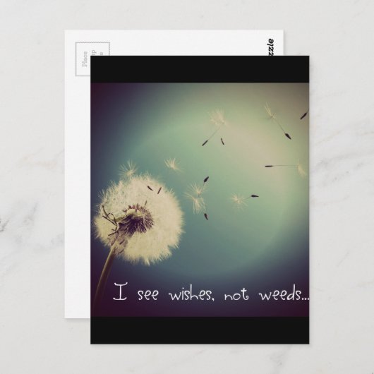 Dandelion Wises Postkarte (Vorne/Hinten)