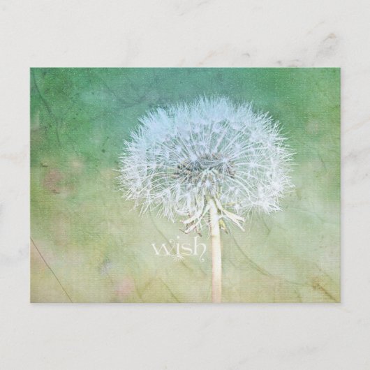 Dandelion Wish Dreamy Design Postkarte (Vorderseite)