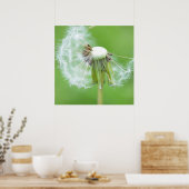Dandelion Wish Made Poster (Küche)