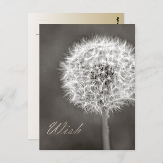 Dandelion Wish Postkarte (Vorne/Hinten)