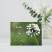 Dandelion "Wish You Were Here" Fotografie Postkarte (Stehend Vorderseite)