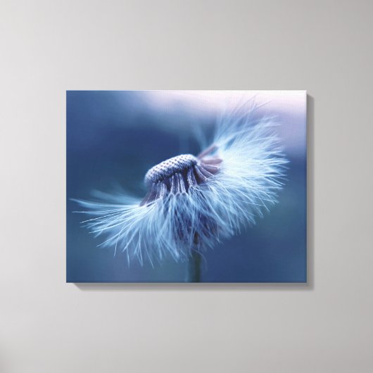 Dandelion Wrapped Canvas Art Leinwanddruck (Vorderseite)