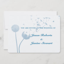 Dandelion wünscht Hochzeit auf weich Aquamarin