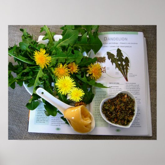 DANDELIONEN FÜR GESUNDHEIT ~ Poster (Vorne)