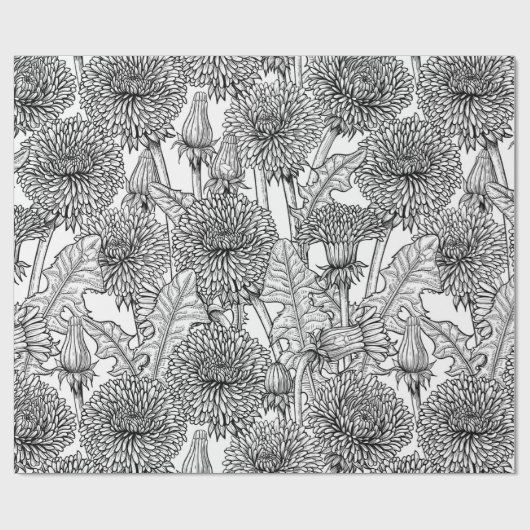 Dandelions, black and white geschenkpapier (Flach)