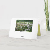 Dandelions Happy Vatertag Spaß Karte (Rückseite)