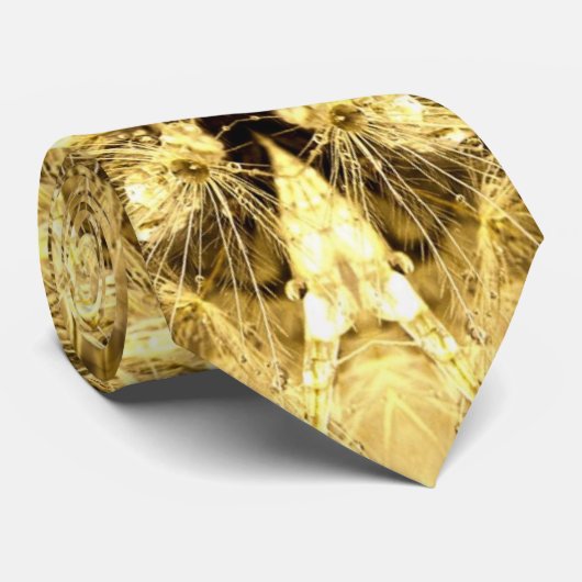 Dandiana-Krawatte Krawatte (Gerollt)