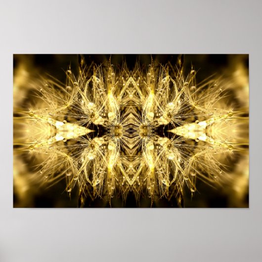 dandiana Poster (Vorne)