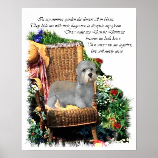 Dandie Dinmont Terrier Art Print Poster (Vorne)