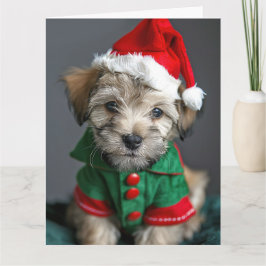 Dandie Dinmont Terrier Elf Puppy Christmas Card Karte