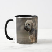Dandie Dinmont Terrier Tasse (Links)