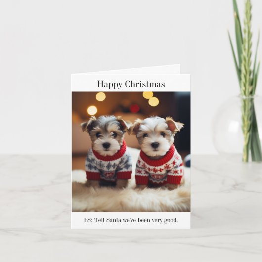 Dandie Dinmont Terrier Welppies Christmas Card Karte (Vorderseite)