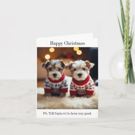 Dandie Dinmont Terrier Welppies Christmas Card Karte