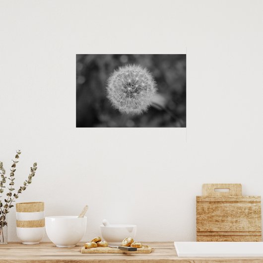 Dandilion Poster (Küche)