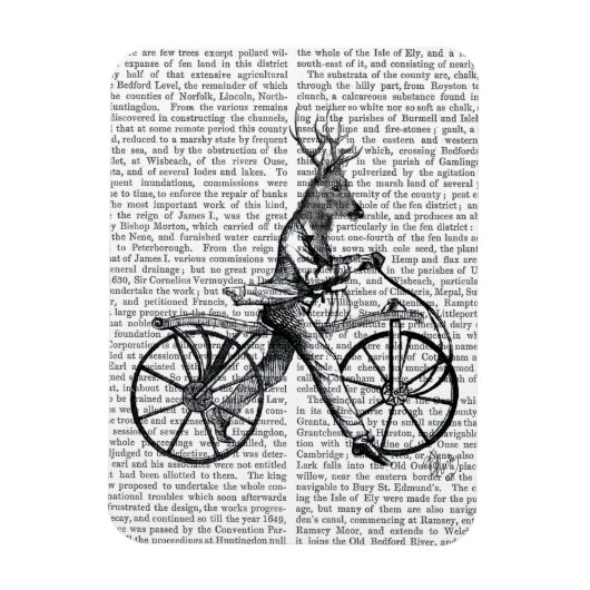 Dandy Deer on Vintag Bicycle Magnet (Vertikal)