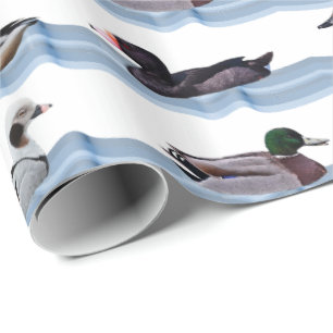 Dandy Ducks Geschenkpapier
