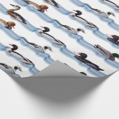 Dandy Ducks Wrapping Paper Geschenkpapier (Ecke)