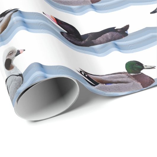 Dandy Ducks Wrapping Paper Geschenkpapier (Rolleneckpunkt)