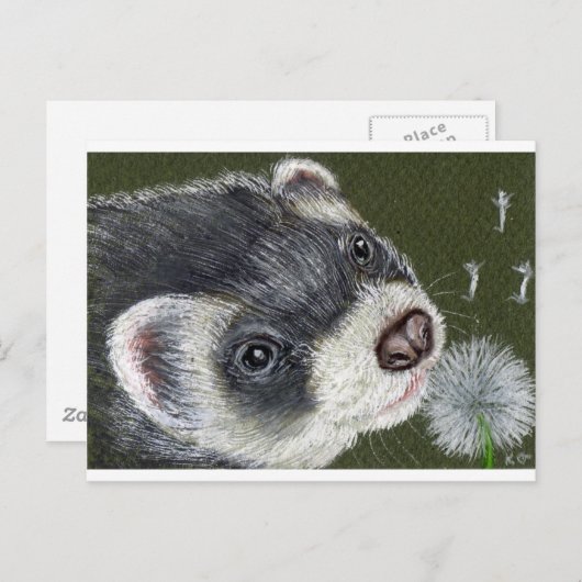 Dandy Ferret Postkarte (Vorne/Hinten)