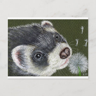 Dandy Ferret Postkarte