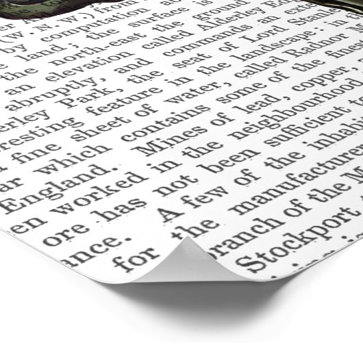 Dandy Fox Full Poster (Ecke)