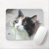 Dandy "Lion"? Mousepad (Mit Mouse)