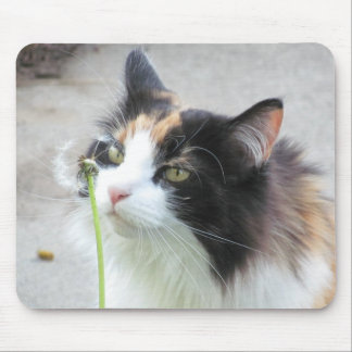 Dandy "Lion"? Mousepad