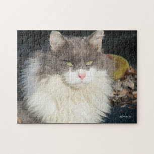 Dandy Lion Puzzle