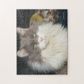 Dandy Lion Puzzle (Vertikal)