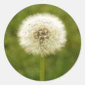 Dandy Lion Runder Aufkleber (Vorderseite)