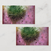 Dandy Seeds Visitenkarte (Vorne/Hinten)