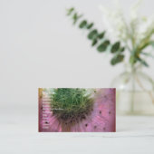 Dandy Seeds Visitenkarte (Stehend Vorderseite)