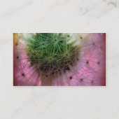 Dandy Seeds Visitenkarte (Rückseite)